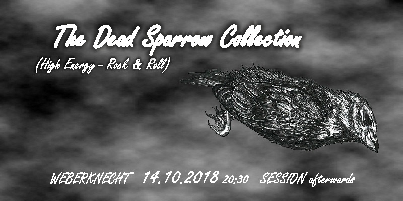 The Dead Sparrow Collection | danach Live Session